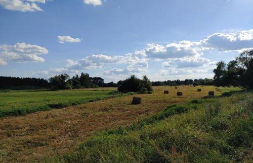 Masuria Warsaw - dom na wyłączność - w lesie i przy rzece - 15 min od Warszawy - Foto 47