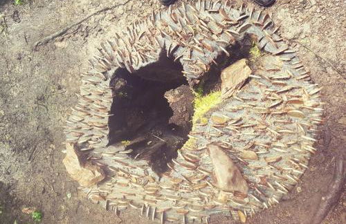 Applegrove, perfect 2 bed bungalow, Fortrose - Foto 56