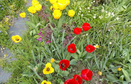 Ferienwohnung Melba - Foto 26