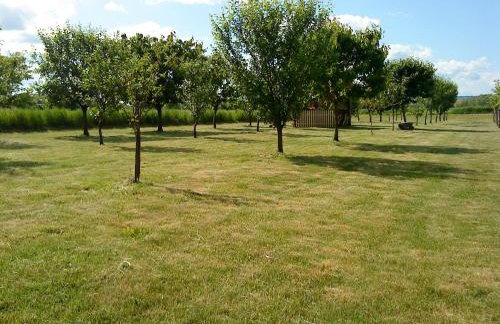 Seoski Turiziam Larva - Photo 15