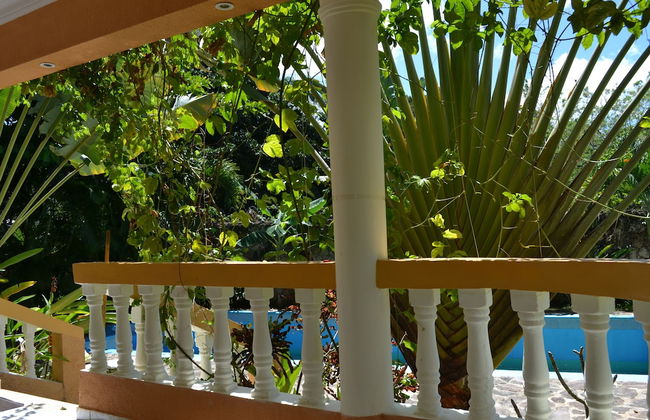 Apartments with Balcony in the Villa, Pool - Foto 12