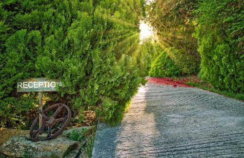 Ktima Nikola - Foto 20