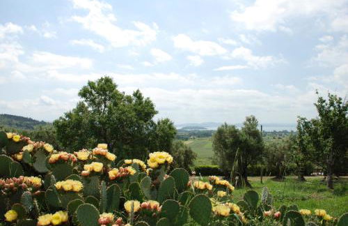 Borgo Sanguineto - Foto 29