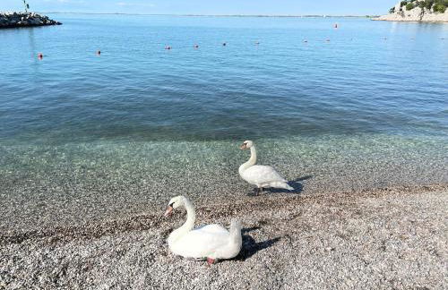 Casa Camilla - Foto 46