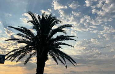 Aladín House Vinaròs playa - Foto 7