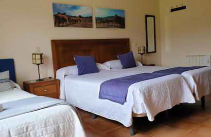 Casa con piscina en Parque Nacional de Cabañeros - Foto 18