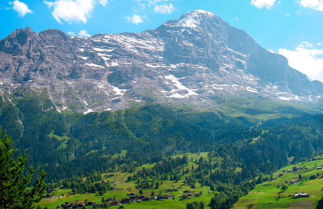 1 bedroom Apartment in Grindelwald with garden - Photo 20