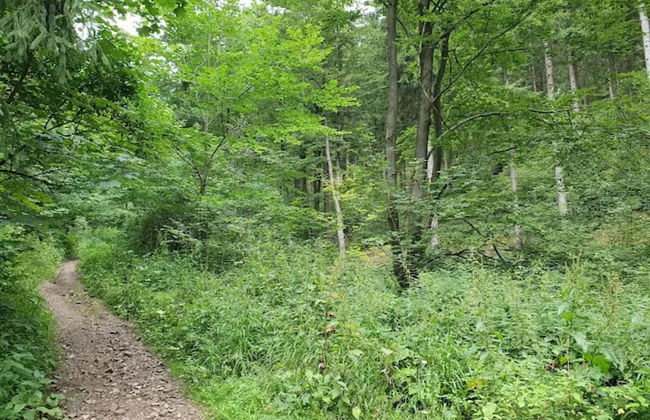 Wohnung in Bad Grund - Foto 25