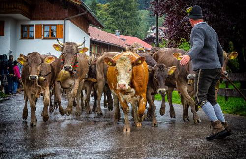 FeWo Aloisius im Allgäu - Hunde willkommen, Workation & Westbalkon, inkl Königscard - Foto 45