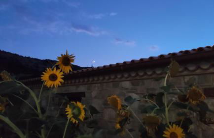 Casale Pipolo - Photo 7