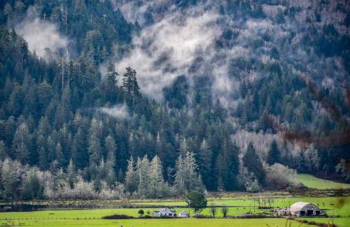 Viewcrest Retro Country Home - Photo 39