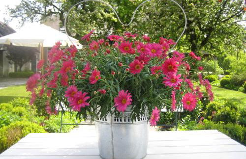 Haus Friedrichsen - Photo 41