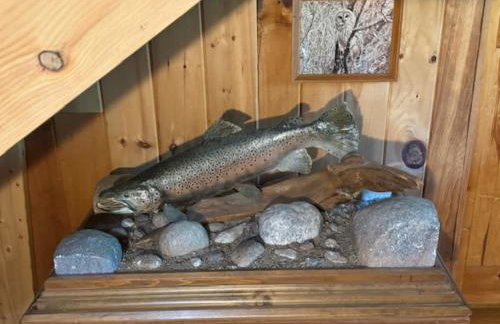 Halls Corner Lodge I Peaceful Woodland Escape - Foto 22