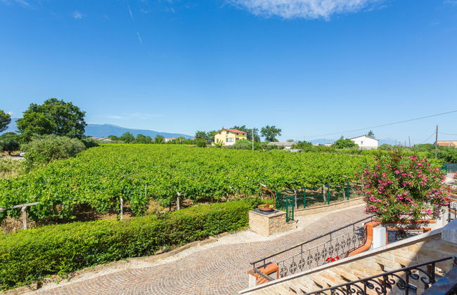 Borgo Agrituristico Il Pino - Foto 9