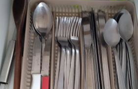 Nascer do Bosque - Photo 14