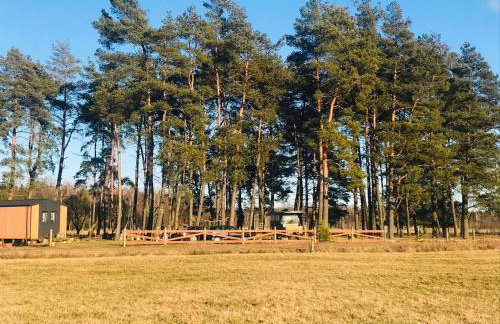 Ranczo Wiejska Matka - Foto 12