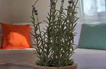 Vrachati Loft - Foto 30