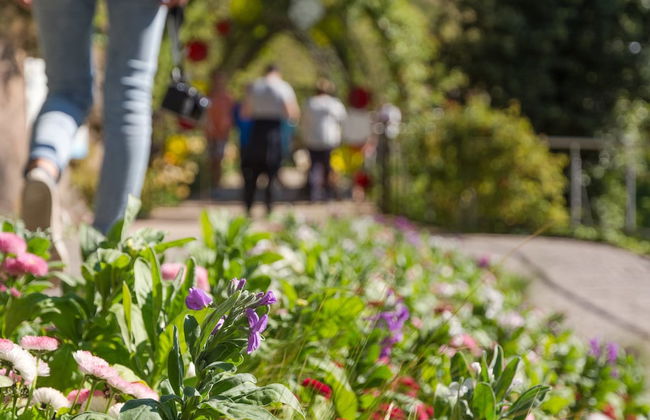 Rennweg 114 - Foto 60