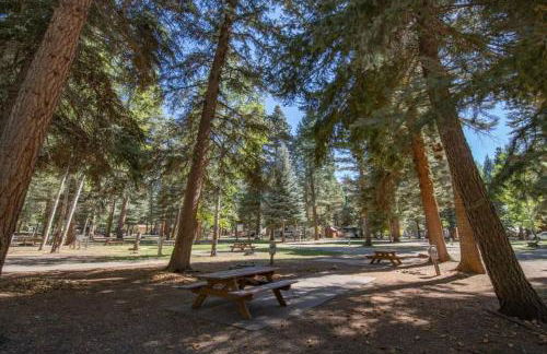 The Sophia Cabin #3 at Blue Spruce RV Park & Cabins - Foto 17