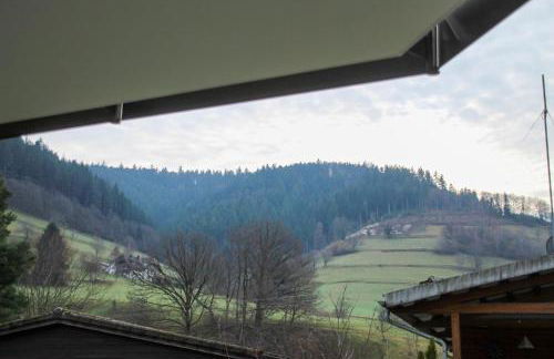Ferienwohnung Sterzl mit Terrasse im Münstertal - Foto 21