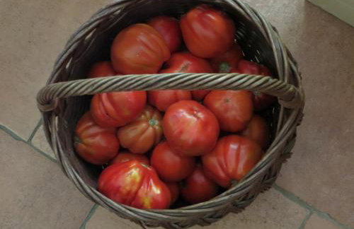 Holiday Home Artina 2 - Foto 36