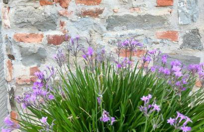 Salceta, a Tuscany Country House - Foto 9