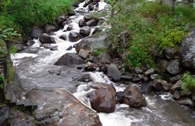 Mount view family rest & cottage - Photo 30