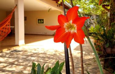 Casa Morro do Frota, Pirenópolis - Foto 14