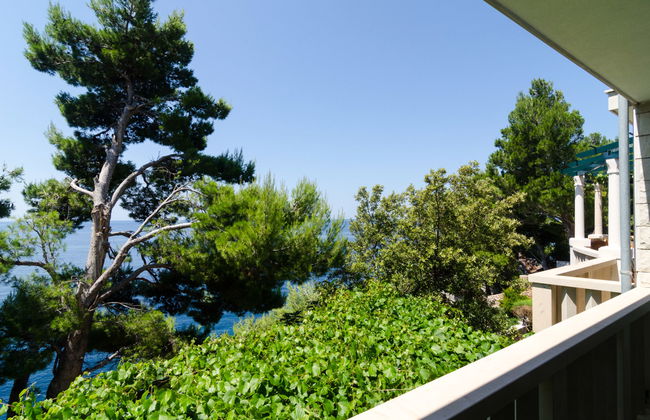 Plavac Mali - Photo 19