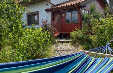 Na zielonej łące... - Foto 42