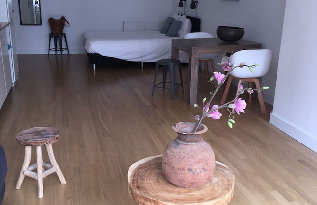 Appartementen Zeespiegel - Foto 10