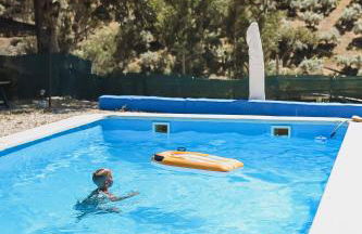 Experience Alpacas in Andalucia - Foto 20