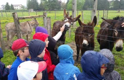 Amplia casa rural en el corazón del valle Ulzama - Photo 42