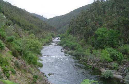 Casa do Pinto - Foto 37