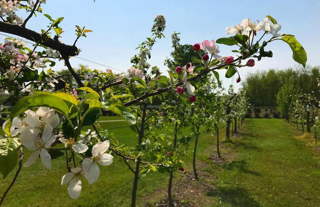 Agriturismo La Biandrina - Foto 48