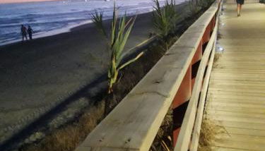 Banana Beach 1a Li­nea de playa - Foto 2