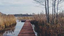 Domki nad Jeziorem Sunia - Foto 5