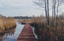 Domki nad Jeziorem Sunia - Foto 5