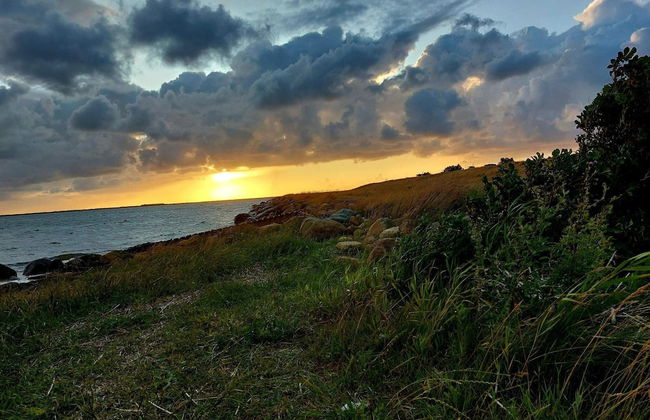 4 Person Holiday Home in Hemmet - Foto 31