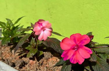 Chalé Encanto da Serra - Foto 14