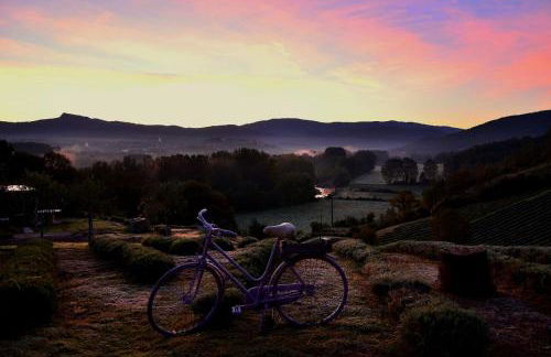 La lavanda di Poppi-mini appartamento - Foto 55
