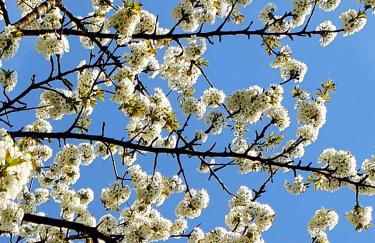 Gutshaus De La Fontaine - Photo 32