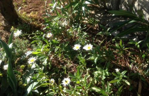 Apartment Jasna B - Foto 46