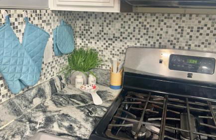 Turquoise Gem - Foto 8