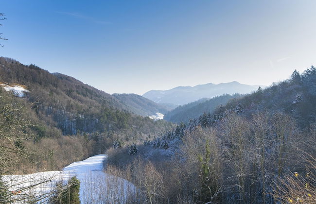 Pool Wellness Chalet Sunshine - Photo 37