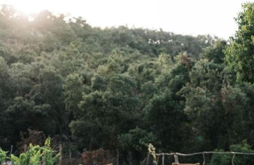 Finca Muntanya by SunVillas Mallorca - Foto 10