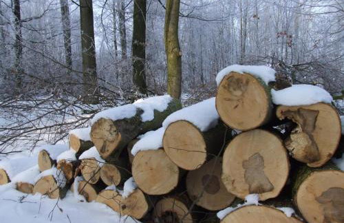 Ferienhaus ScheunenRefugio - Foto 37