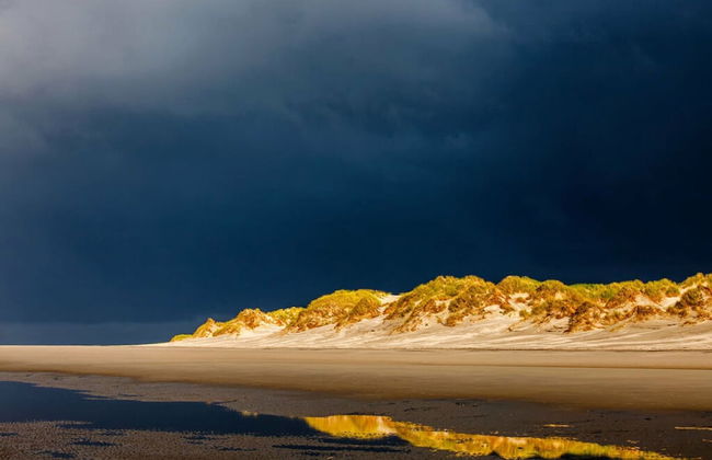 North Beach Modern Retreat - Foto 9