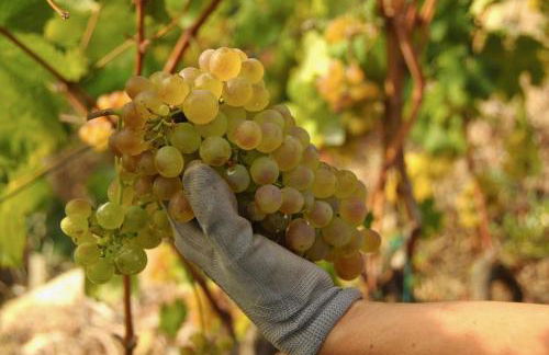 La casa del Podere - Foto 36