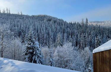 Widokownia Brenna - Foto 41